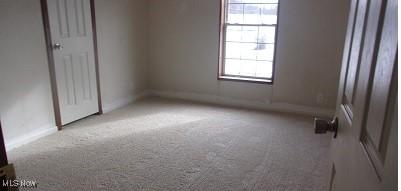 unfurnished room featuring light colored carpet