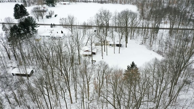 view of snowy aerial view