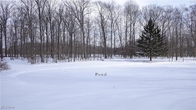 view of snowy yard