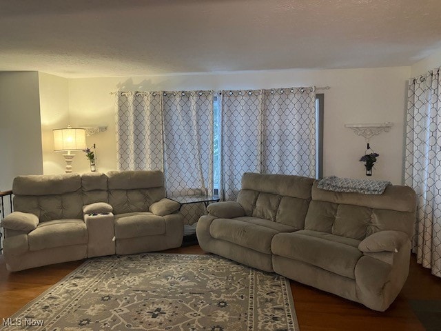 living room featuring wood finished floors