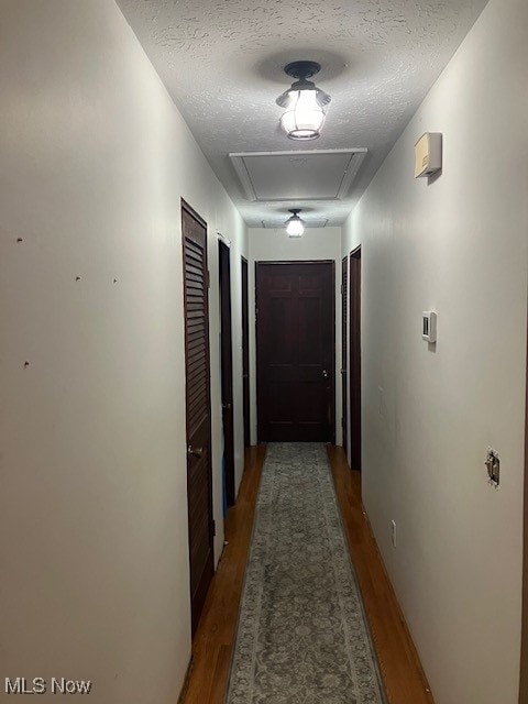 hallway with a textured ceiling and wood finished floors