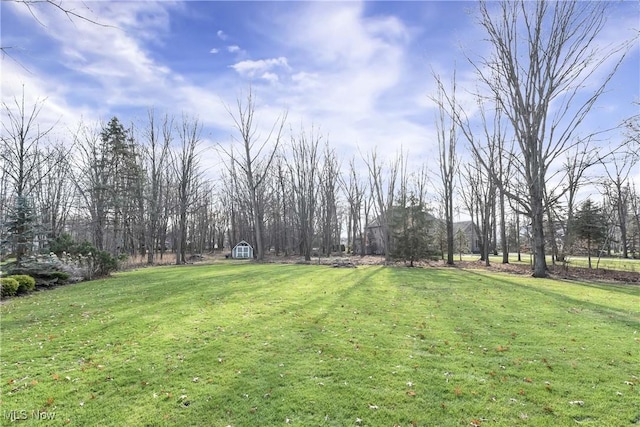 view of yard featuring a storage shed