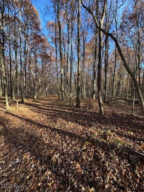 1925 N Lipkey Rd, North Jackson, OH 44451 - view of yard featuring a view of trees