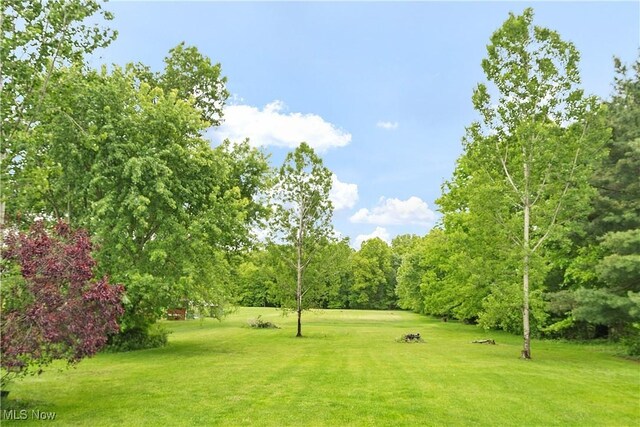 1925 N Lipkey Rd, North Jackson, OH 44451 - view of grassy yard