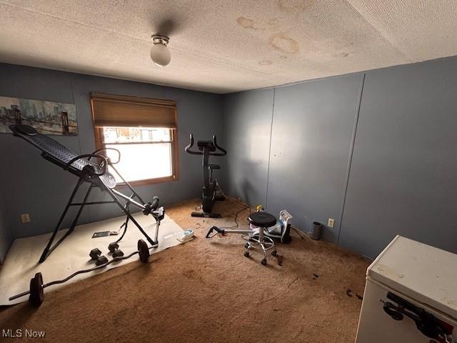 workout area with carpet and a textured ceiling