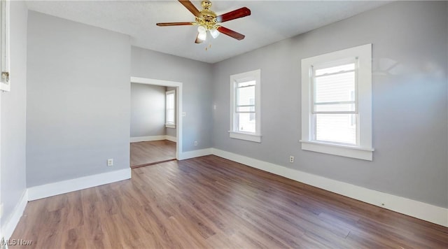 761 Brayton Ave, Cleveland, OH 44113 - photo 15