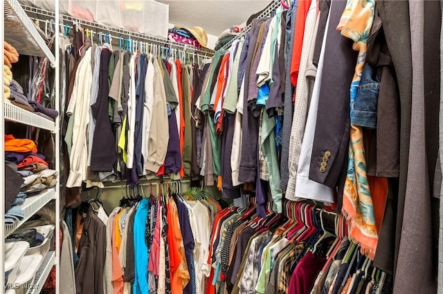 view of walk in closet