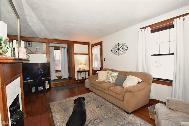 living area featuring a fireplace and dark wood finished floors