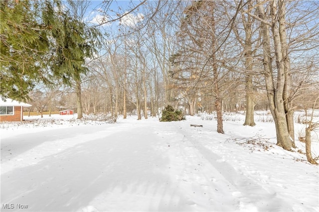 view of yard covered in snow