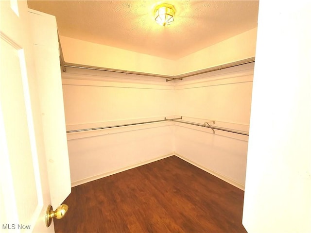 walk in closet featuring dark wood-style flooring