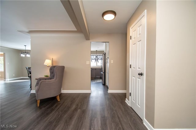 corridor with a chandelier, dark wood-style flooring, baseboards, and beam ceiling