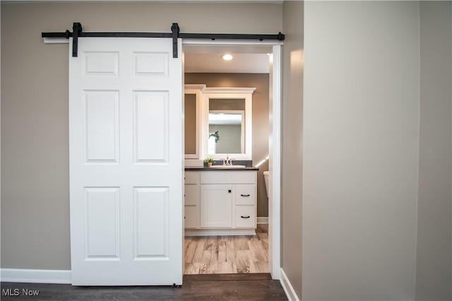 closet with a sink