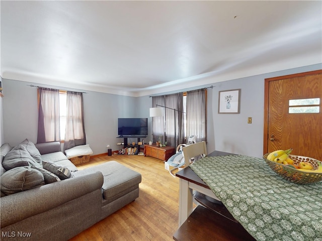 living area with light wood-style floors