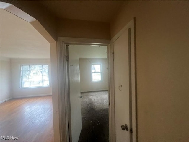 hall featuring baseboards and wood finished floors