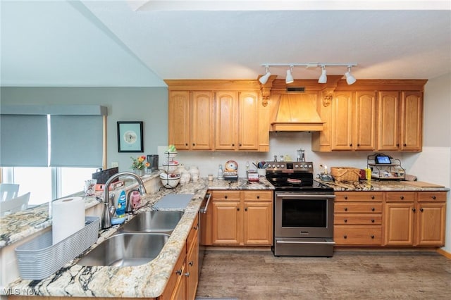 kitchen featuring wood finished floors, light stone countertops, custom exhaust hood, stainless steel appliances, and a sink