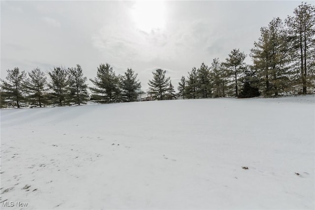 view of yard covered in snow