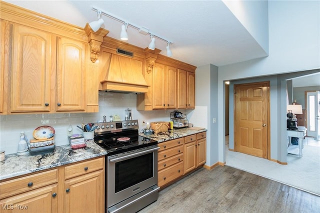 kitchen featuring stone counters, premium range hood, wood finished floors, stainless steel range with electric cooktop, and backsplash