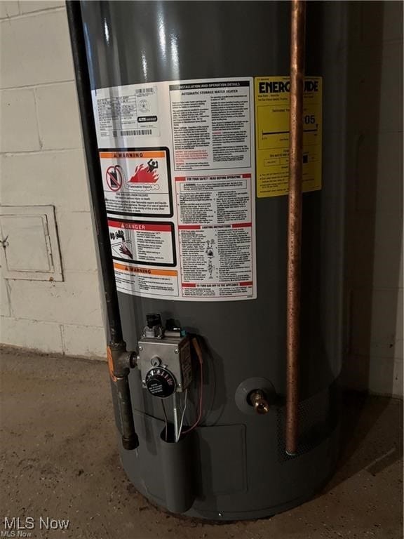 utility room with gas water heater