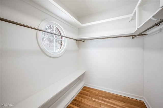 spacious closet with wood finished floors