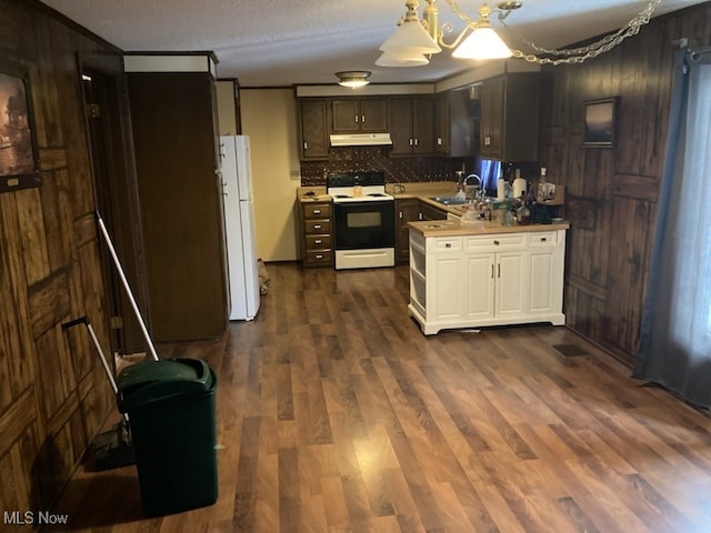 kitchen with under cabinet range hood, a sink, freestanding refrigerator, electric range oven, and dark wood finished floors