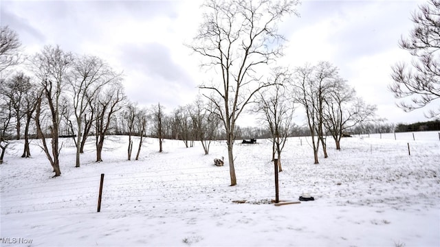 yard layered in snow featuring a rural view