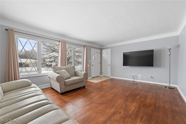 living room with a baseboard radiator, baseboards, and wood finished floors