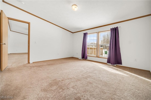 spare room featuring carpet and ornamental molding
