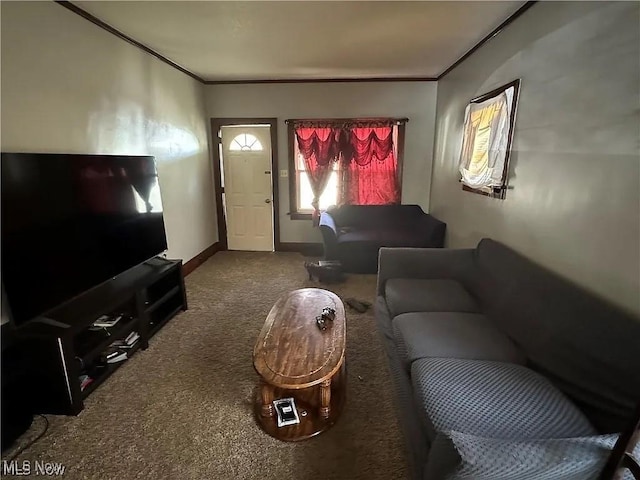 living room featuring ornamental molding, carpet flooring, and baseboards