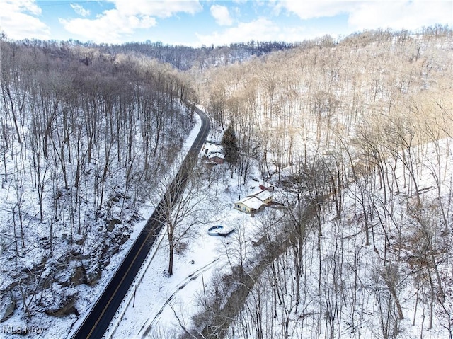 view of snowy aerial view