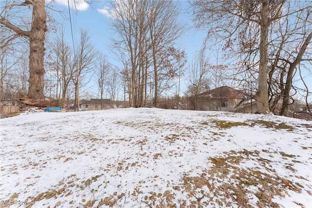 view of yard layered in snow