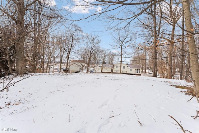 view of snowy yard