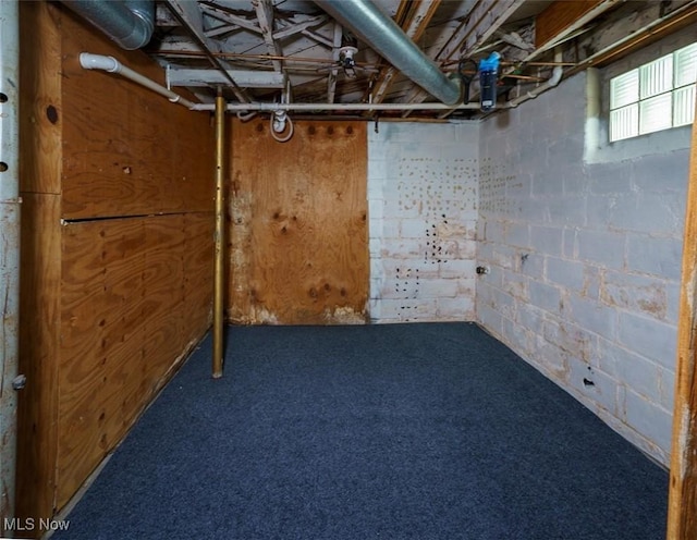 basement featuring carpet flooring