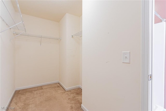 spacious closet featuring light carpet