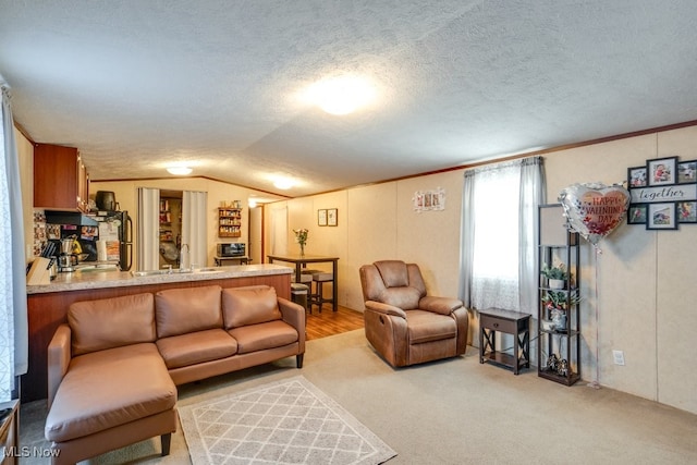 living area with ornamental molding, light colored carpet, vaulted ceiling, and a textured ceiling