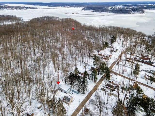 view of snowy aerial view