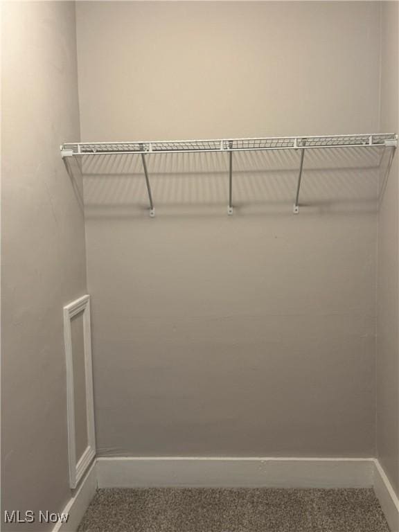 walk in closet with carpet flooring