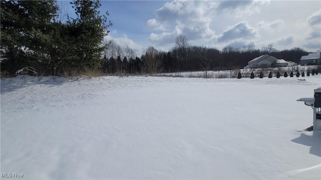 view of yard covered in snow