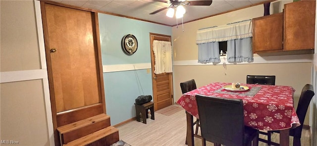 dining room with ornamental molding, light wood-style floors, and a ceiling fan