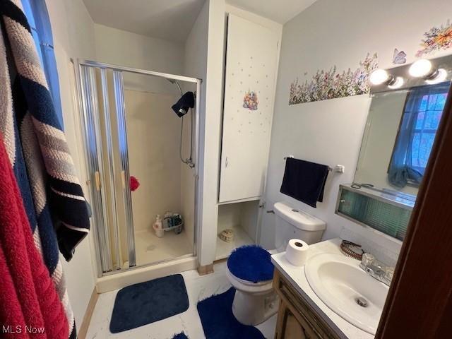 bathroom with toilet, a shower stall, and vanity