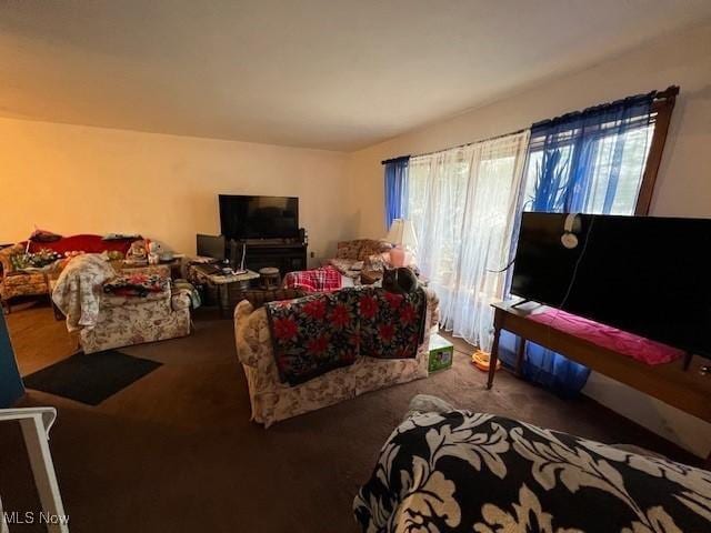 view of carpeted living area