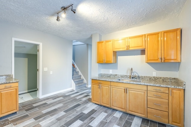 kitchen featuring baseboards, light stone counters, a sink, and wood tiled floor