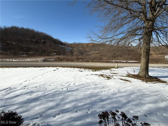 view of yard covered in snow