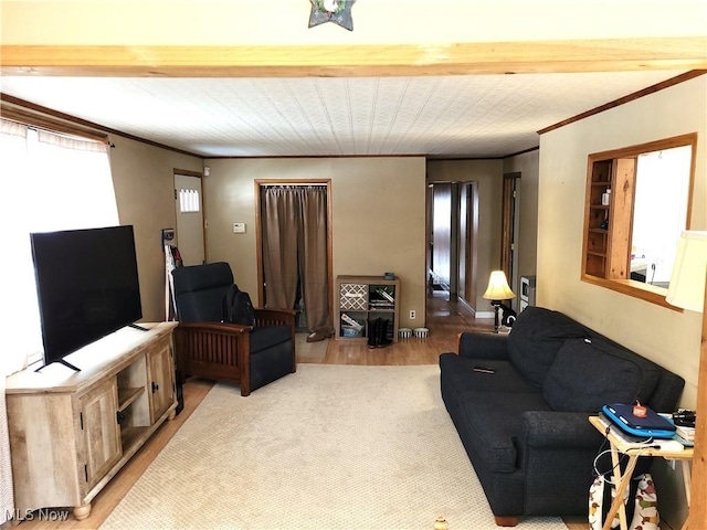 living area featuring baseboards, crown molding, and wood finished floors