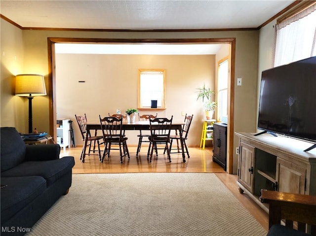 living area featuring light wood finished floors and ornamental molding