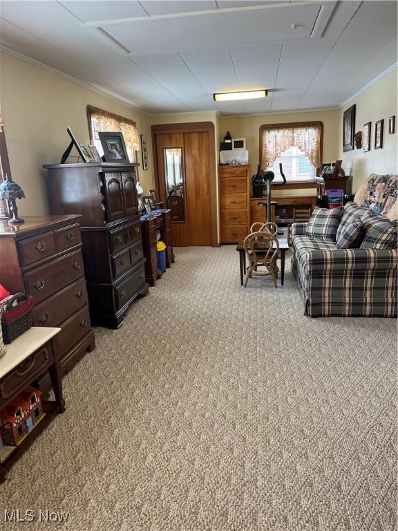 interior space with ornamental molding and light colored carpet