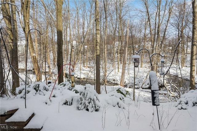 snowy yard featuring a garage