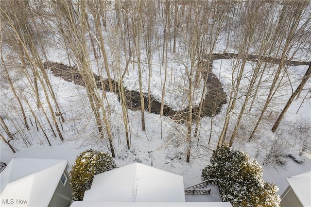 view of snowy aerial view