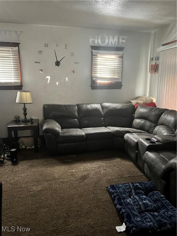 carpeted living area featuring a textured ceiling