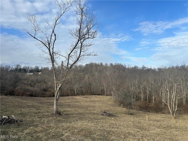 view of nature with a wooded view