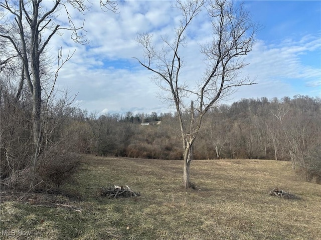 view of landscape